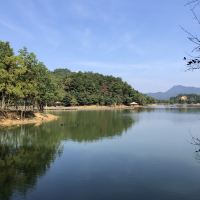 評論圖片 3