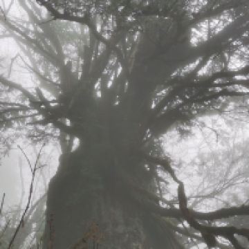 評論圖片 8