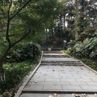 評論圖片 7