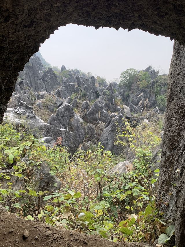 Jade Forest Scenic Area