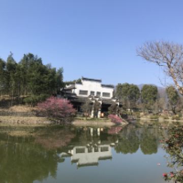 評論圖片 8