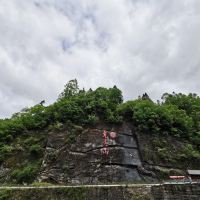 評論圖片 1