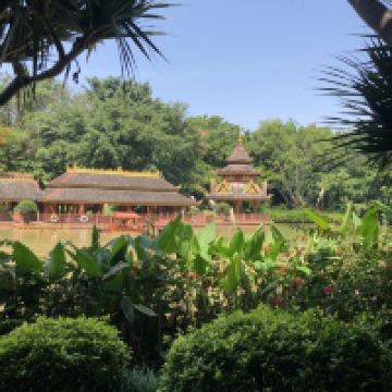評論圖片 2