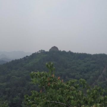 評論圖片 1