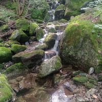 評論圖片 2