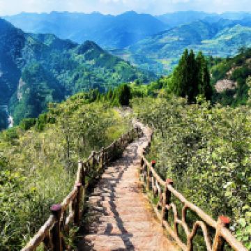 評論圖片 7