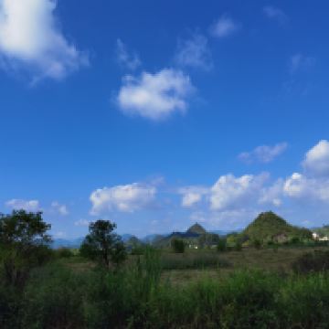 評論圖片 1