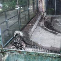 評論圖片 5