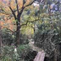 評論圖片 1
