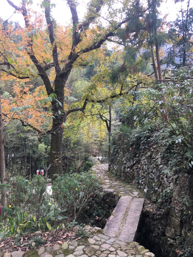 완야오(완요) 고촌락
