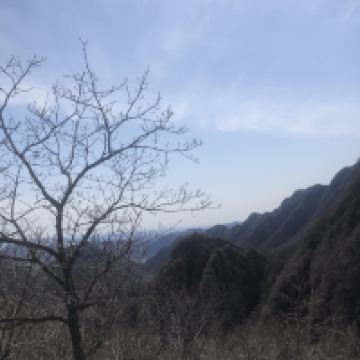 評論圖片 2
