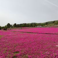 評論圖片 3