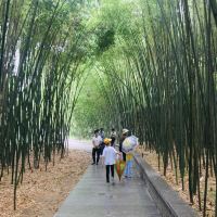 評論圖片 3