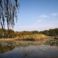 評論圖片 5