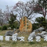 評論圖片 5