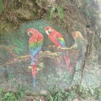 評論圖片 2