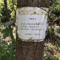 評論圖片 1