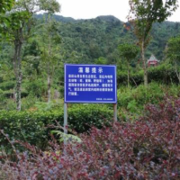 評論圖片 3