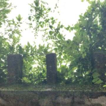 評論圖片 9