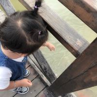 評論圖片 3