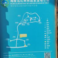 評論圖片 7