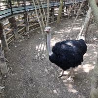 評論圖片 7