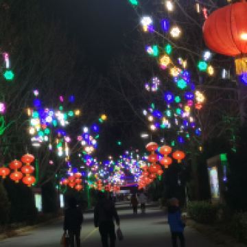 評論圖片 4