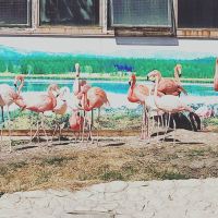 評論圖片 8