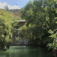 評論圖片 2