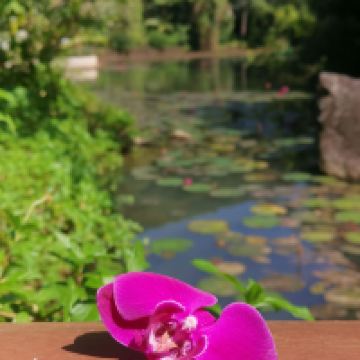 評論圖片 4