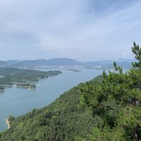評論圖片 9