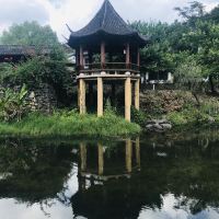 評論圖片 8