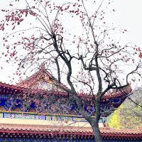 評論圖片 6