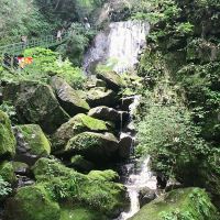 評論圖片 4