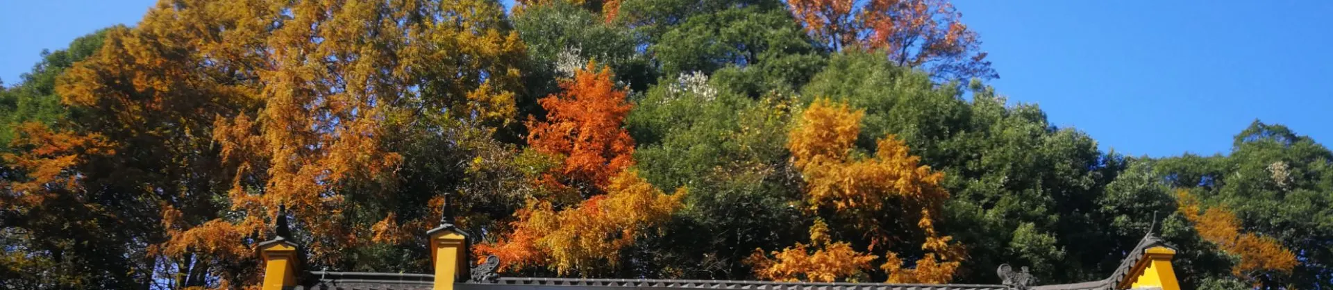 Attrazioni per la visione autunnale
