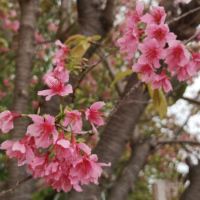 評論圖片 6