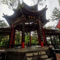 評論圖片 8