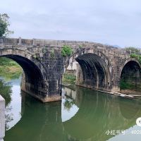 評論圖片 7