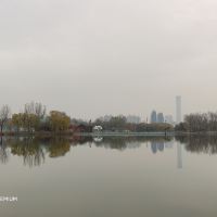 評論圖片 6