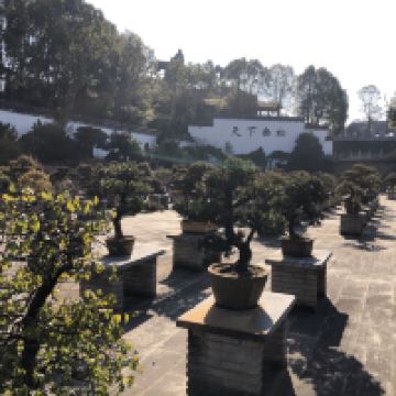 評論圖片 4