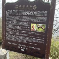 評論圖片 4