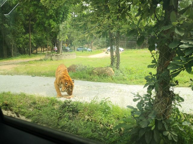 重慶野生動物世界