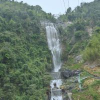 評論圖片 2