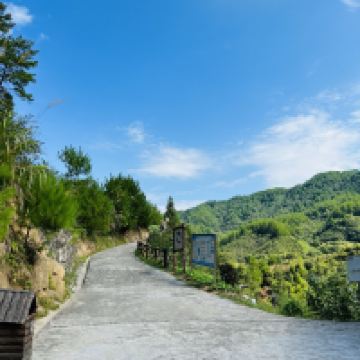 評論圖片 3