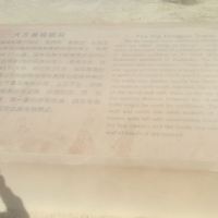 評論圖片 6