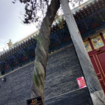 評論圖片 6