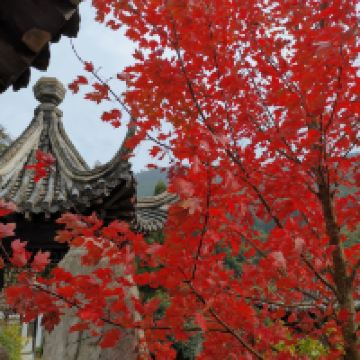 評論圖片 4