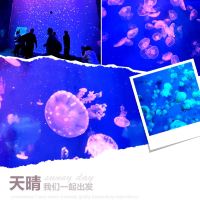 評論圖片 1