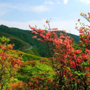 評論圖片 9