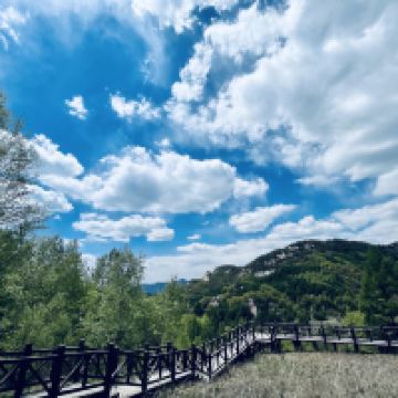 評論圖片 7